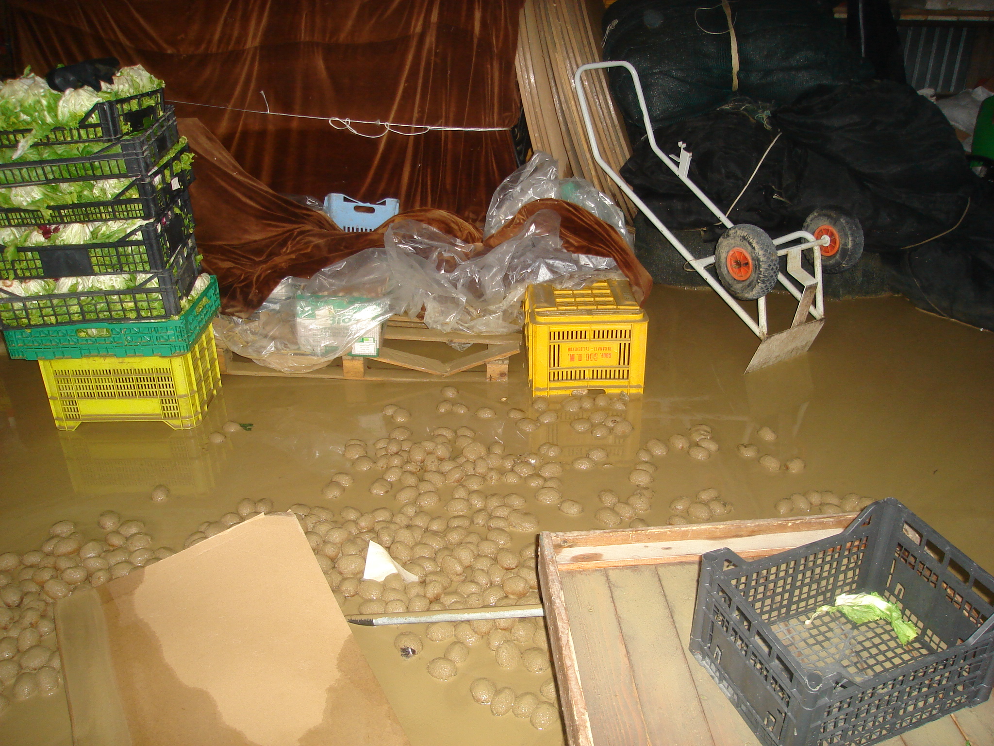 alluvione-2-marzo-2011-107